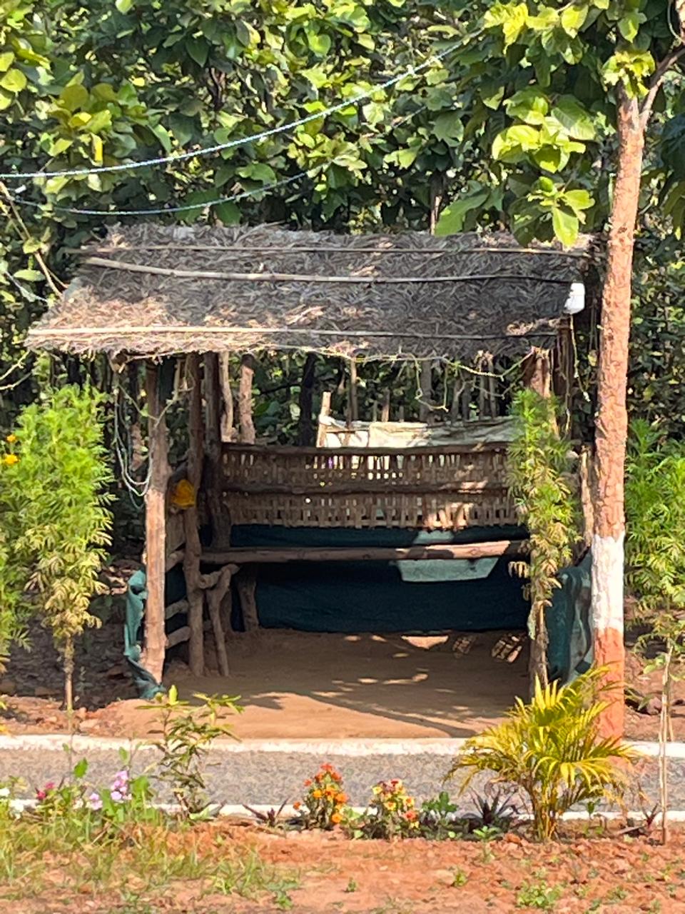 Luxury resort pool with palm trees at sunset